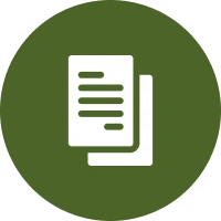 Custom Reporting